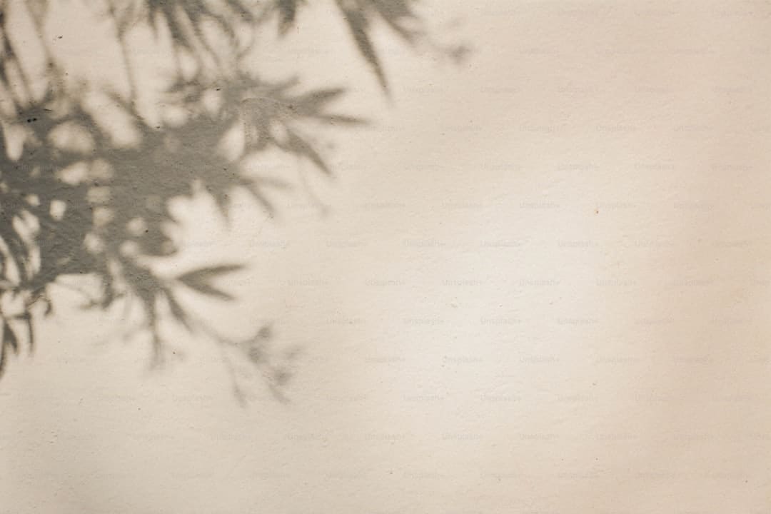 成都车展欧拉以浪漫致初心